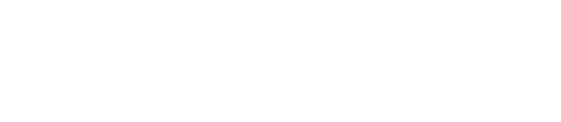 Leia Inc